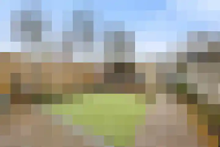 Weezenhof 3823 Nijmegen thumbnail 38