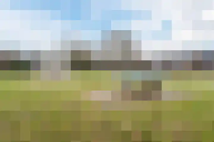 Weezenhof 5110 Nijmegen thumbnail 26