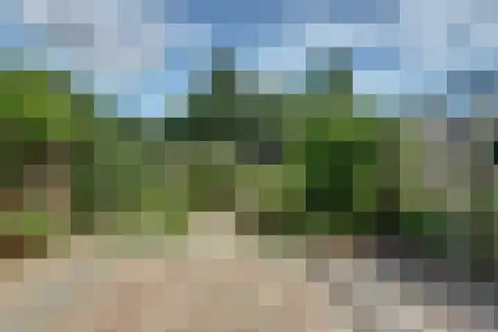Weezenhof 5128 Nijmegen thumbnail 43
