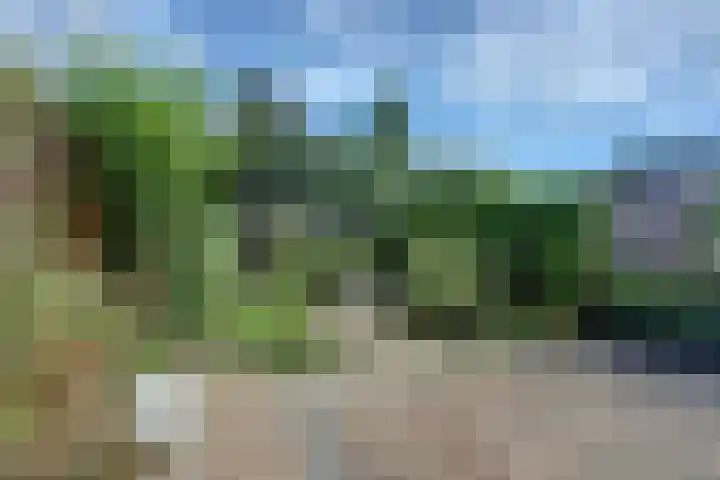 Weezenhof 5128 Nijmegen thumbnail 44