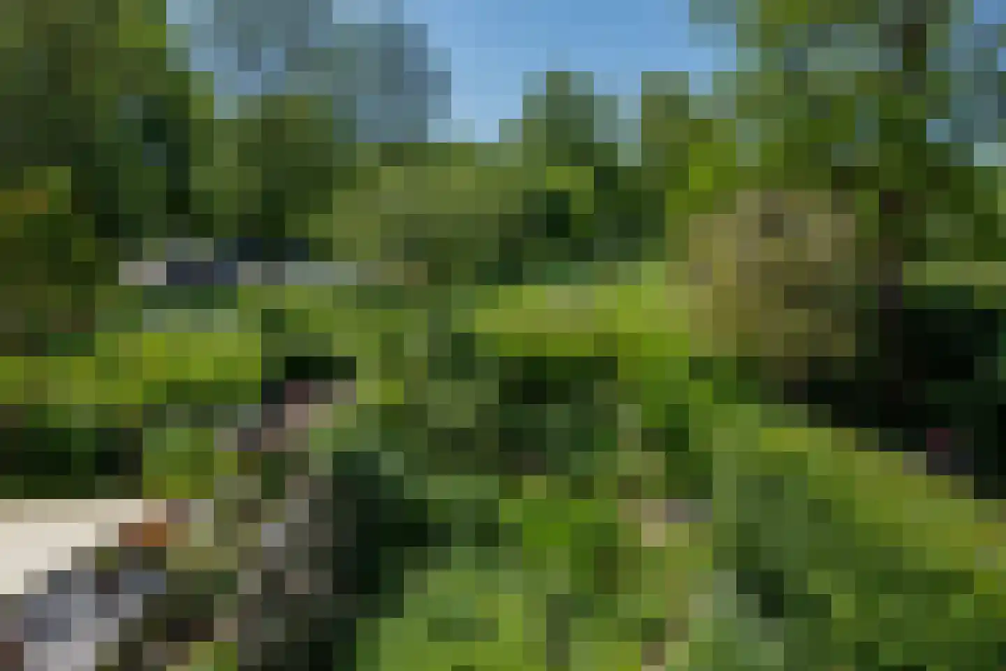 Weezenhof 5220 Nijmegen thumbnail 29