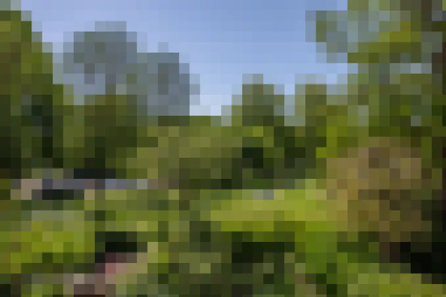 Weezenhof 5220 Nijmegen thumbnail 30
