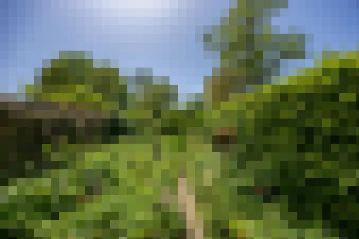 Weezenhof 5220 Nijmegen thumbnail 32
