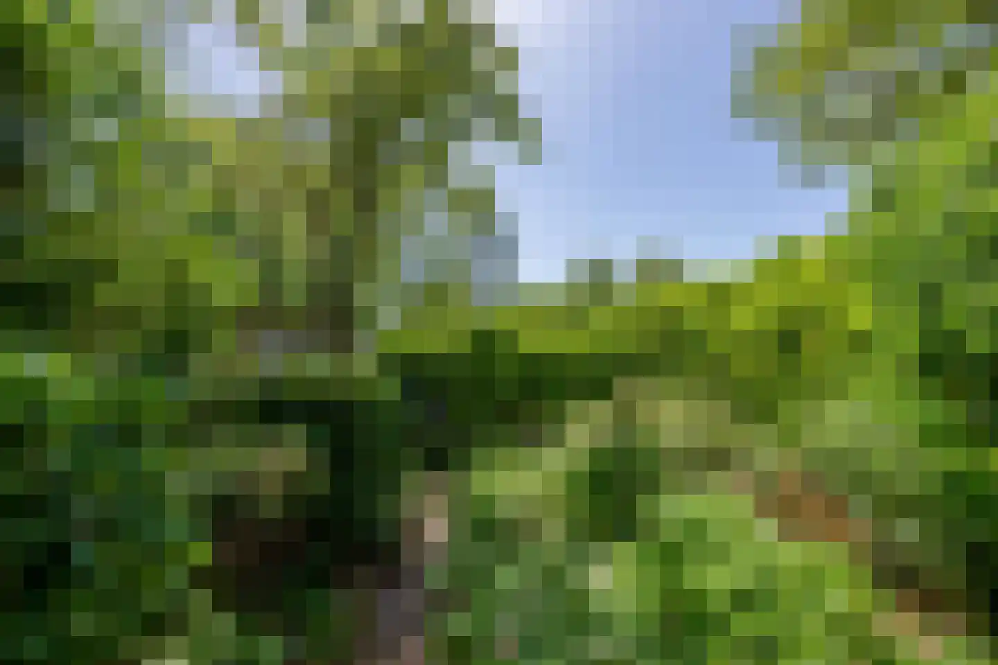 Weezenhof 5220 Nijmegen thumbnail 36