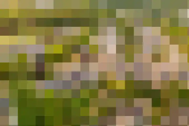 Weezenhof 6138 Nijmegen thumbnail 30