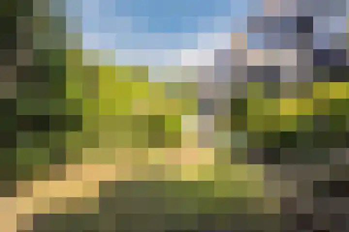 Weezenhof 6154 Nijmegen thumbnail 52