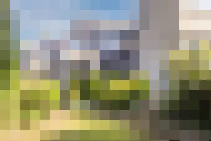 Weezenhof 6154 Nijmegen thumbnail 53