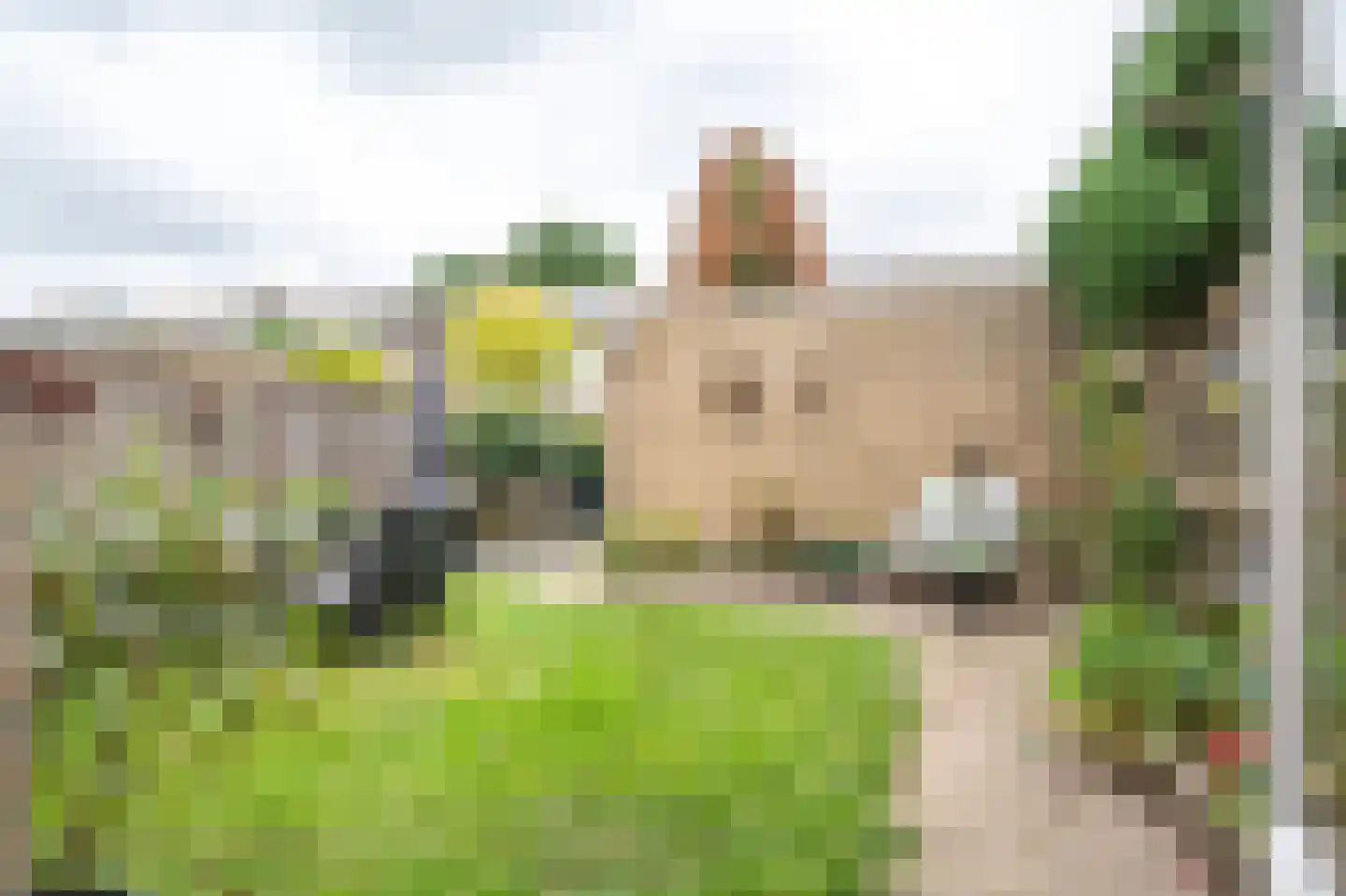 Weezenhof 6613 Nijmegen thumbnail 27