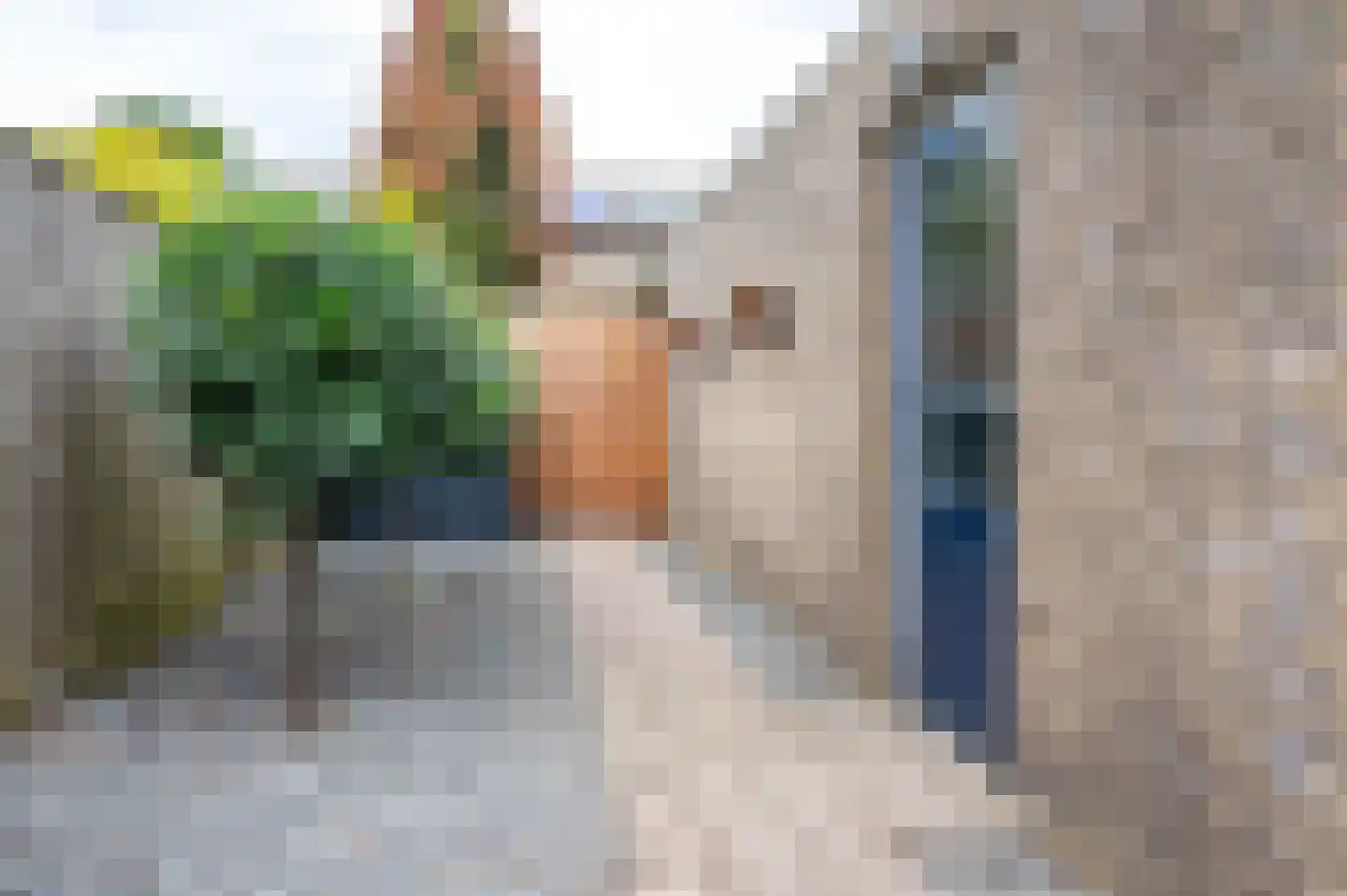 Weezenhof 6613 Nijmegen thumbnail 32