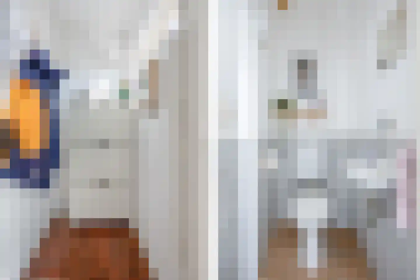 Weezenhof 6613 Nijmegen thumbnail 4