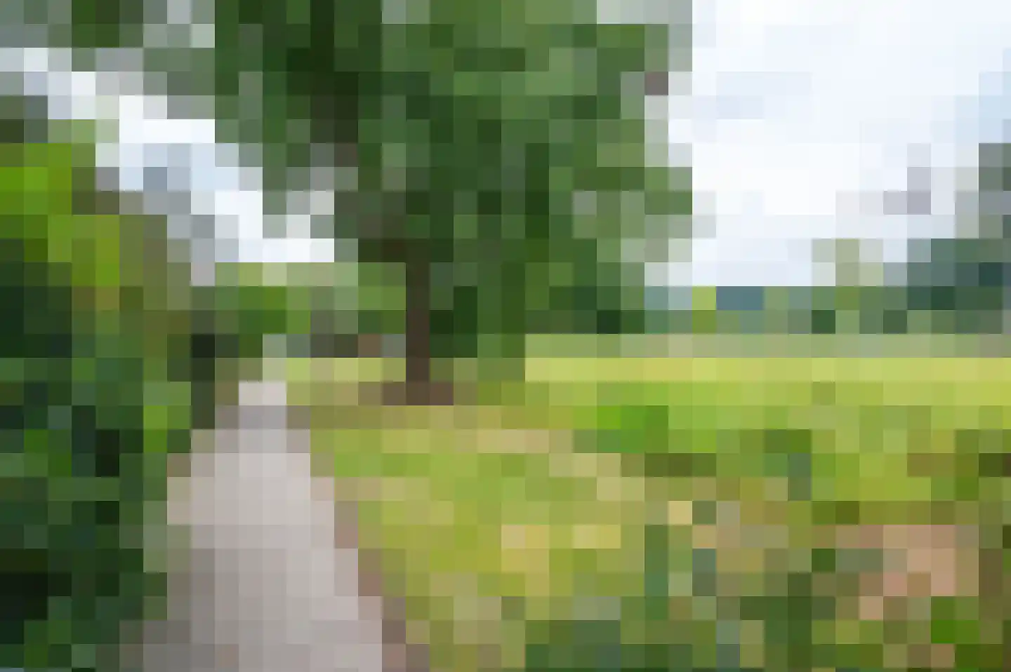 Weezenhof 6613 Nijmegen thumbnail 43