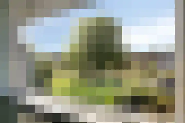 Weezenhof 6701 Nijmegen thumbnail 23