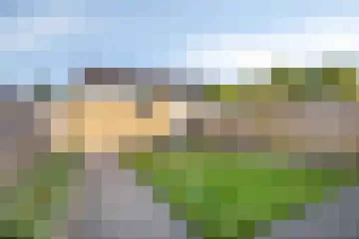 Weezenhof 6701 Nijmegen thumbnail 29