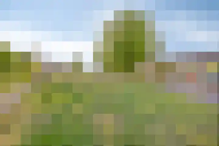 Weezenhof 6701 Nijmegen thumbnail 35