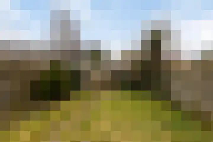 Weezenhof 6719 Nijmegen thumbnail 27