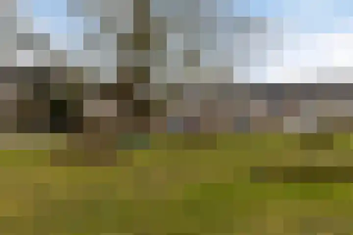 Weezenhof 6719 Nijmegen thumbnail 35
