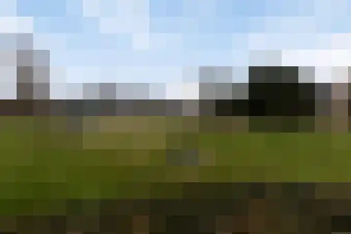 Weezenhof 6719 Nijmegen thumbnail 36