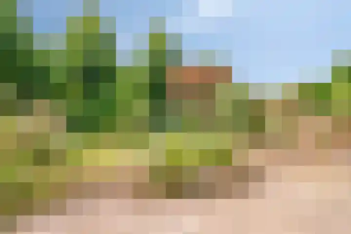 Weezenhof 6754 Nijmegen thumbnail 31