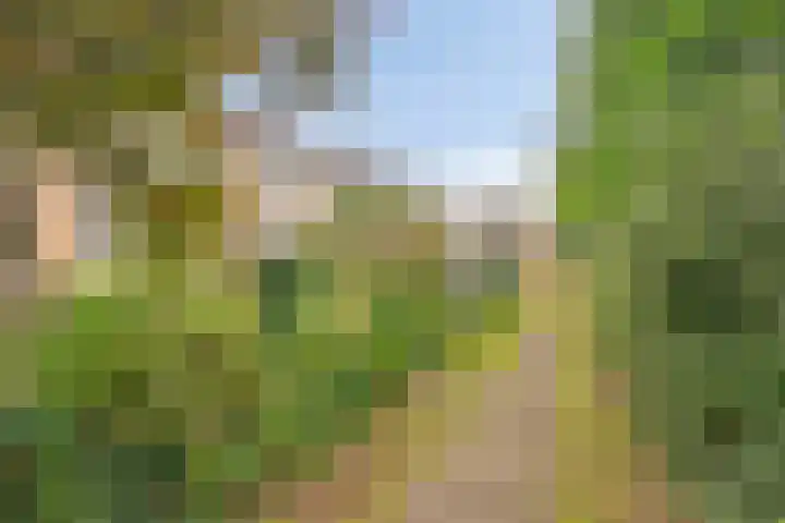 Weezenhof 6754 Nijmegen thumbnail 34