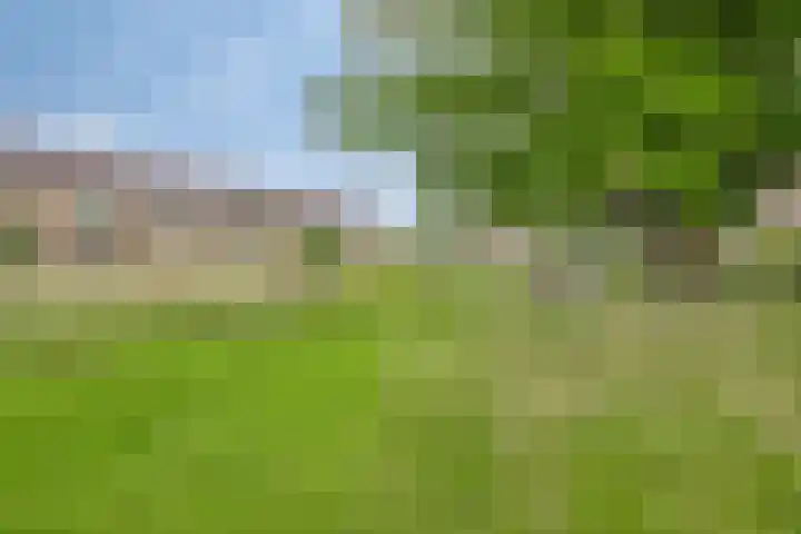Weezenhof 6754 Nijmegen thumbnail 6