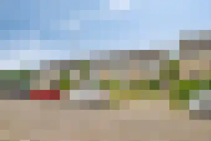 Weezenhof 6754 Nijmegen thumbnail 7