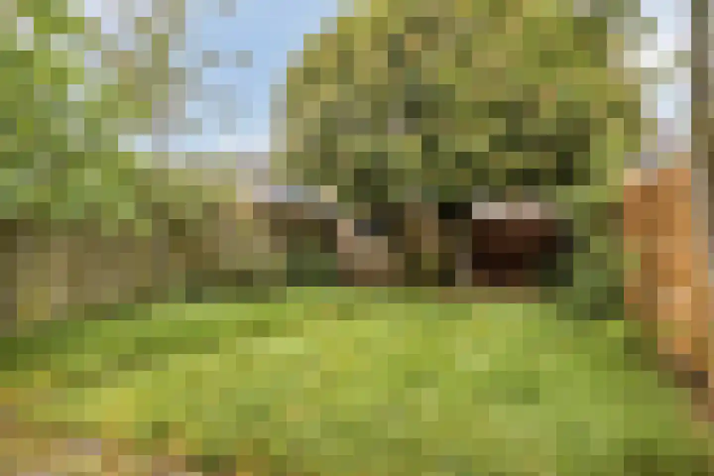 Weezenhof 6808 Nijmegen thumbnail 31