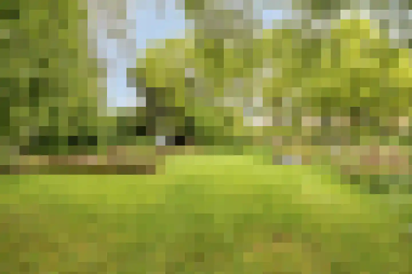 Weezenhof 6808 Nijmegen thumbnail 38