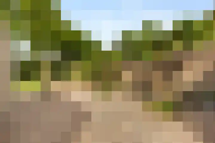 Weezenhof 7208 Nijmegen thumbnail 40