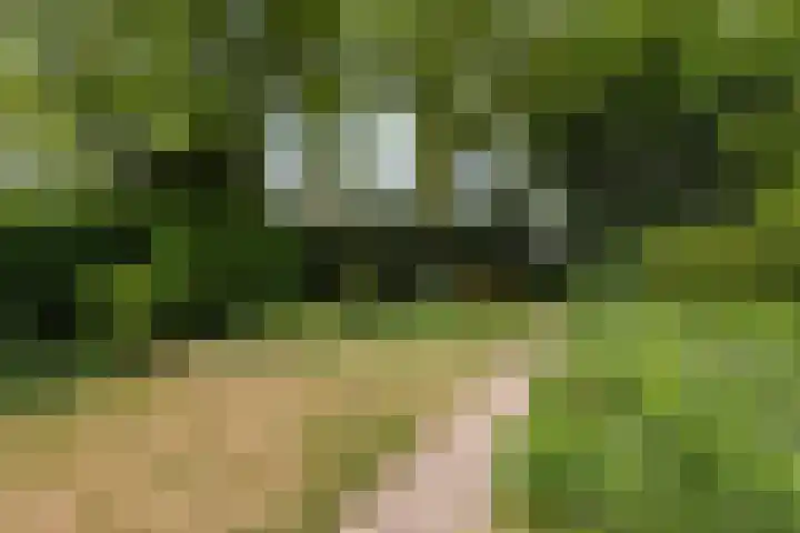 Weezenhof 7208 Nijmegen thumbnail 44