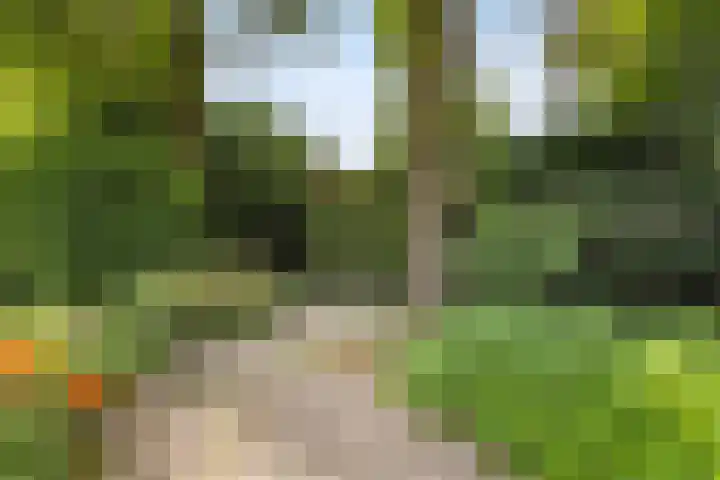 Weezenhof 7208 Nijmegen thumbnail 46