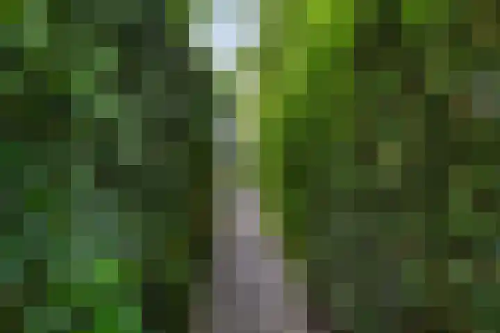 Weezenhof 7208 Nijmegen thumbnail 47