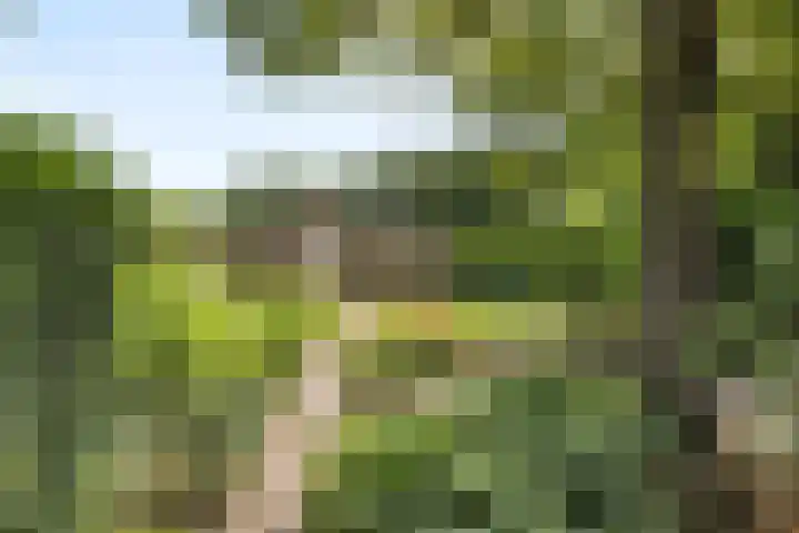Weezenhof 7208 Nijmegen thumbnail 48