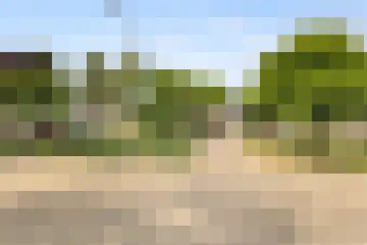 Weezenhof 7208 Nijmegen thumbnail 5