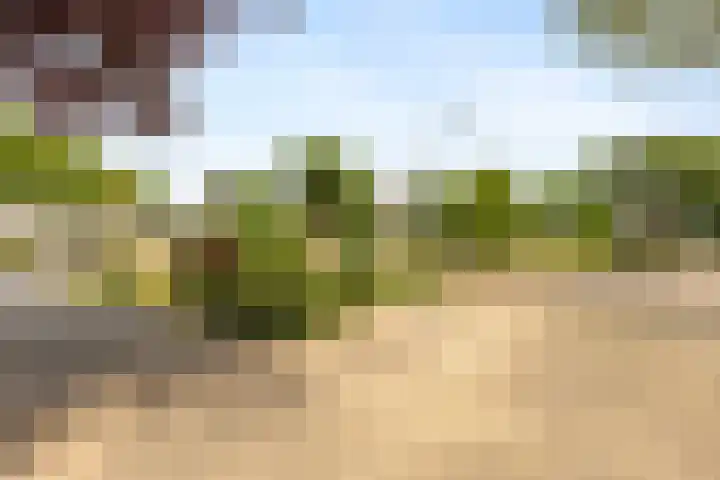 Weezenhof 7208 Nijmegen thumbnail 6