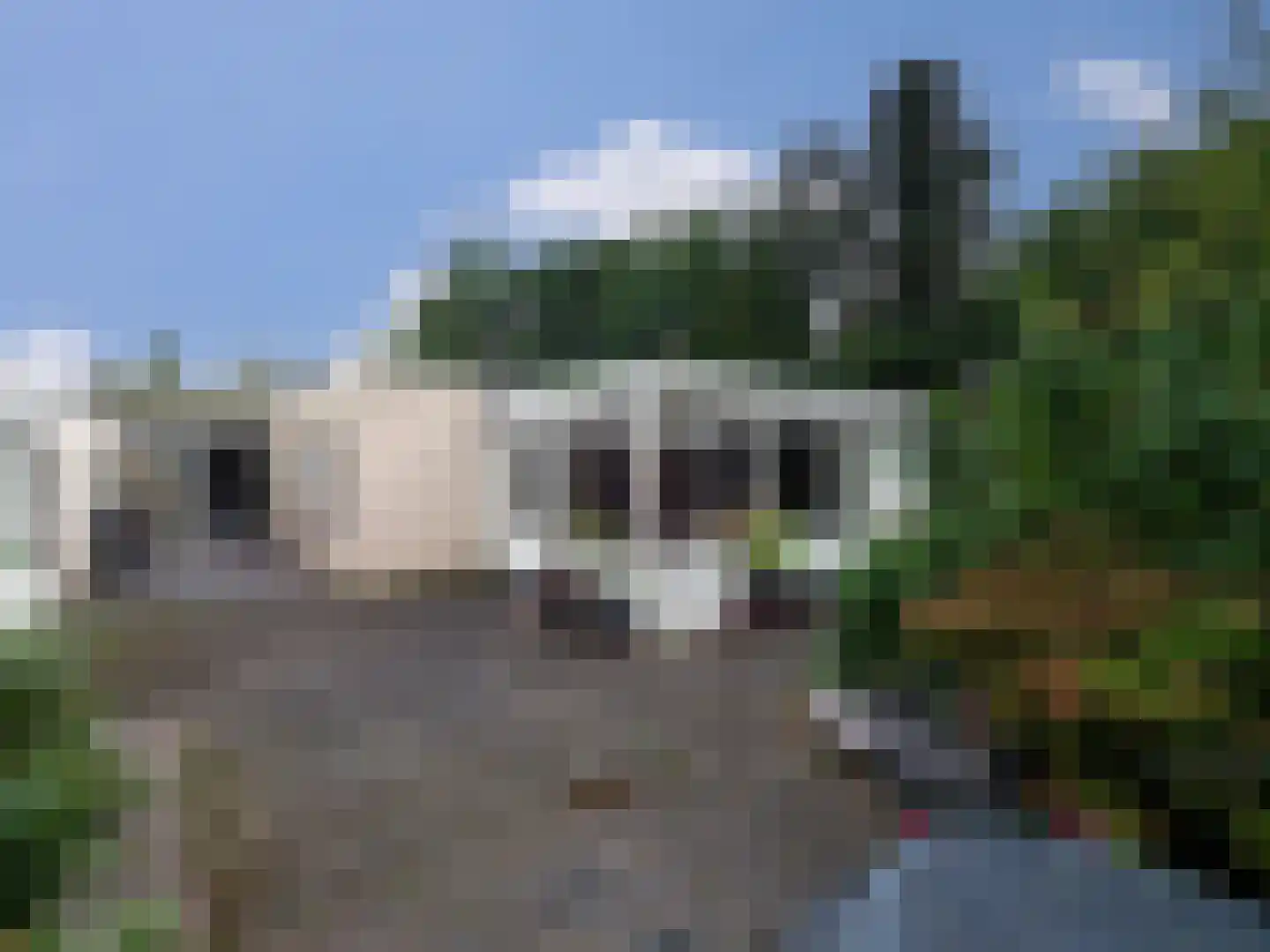 Weezenhof 7222 Nijmegen thumbnail 11