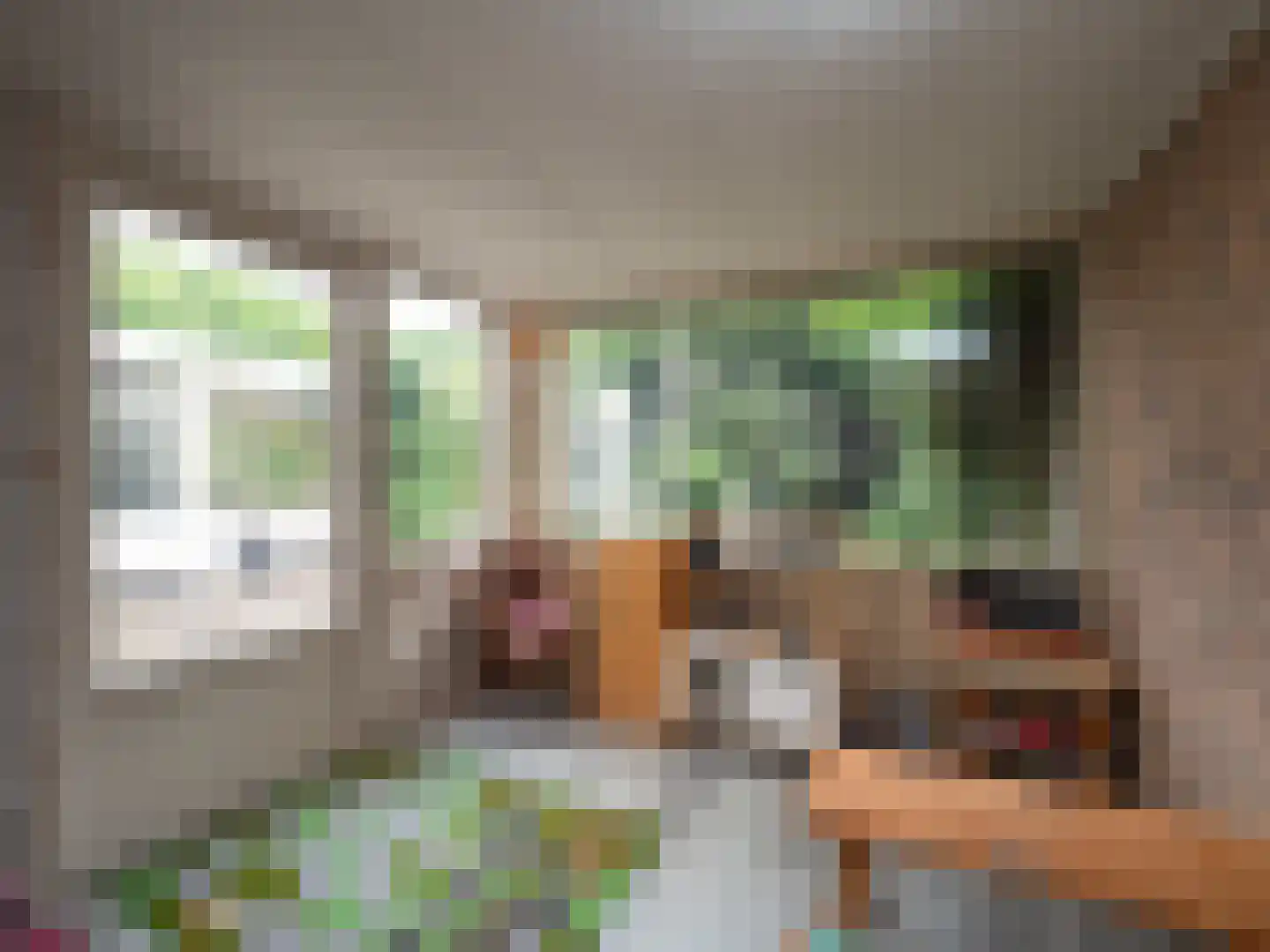 Weezenhof 7222 Nijmegen thumbnail 22