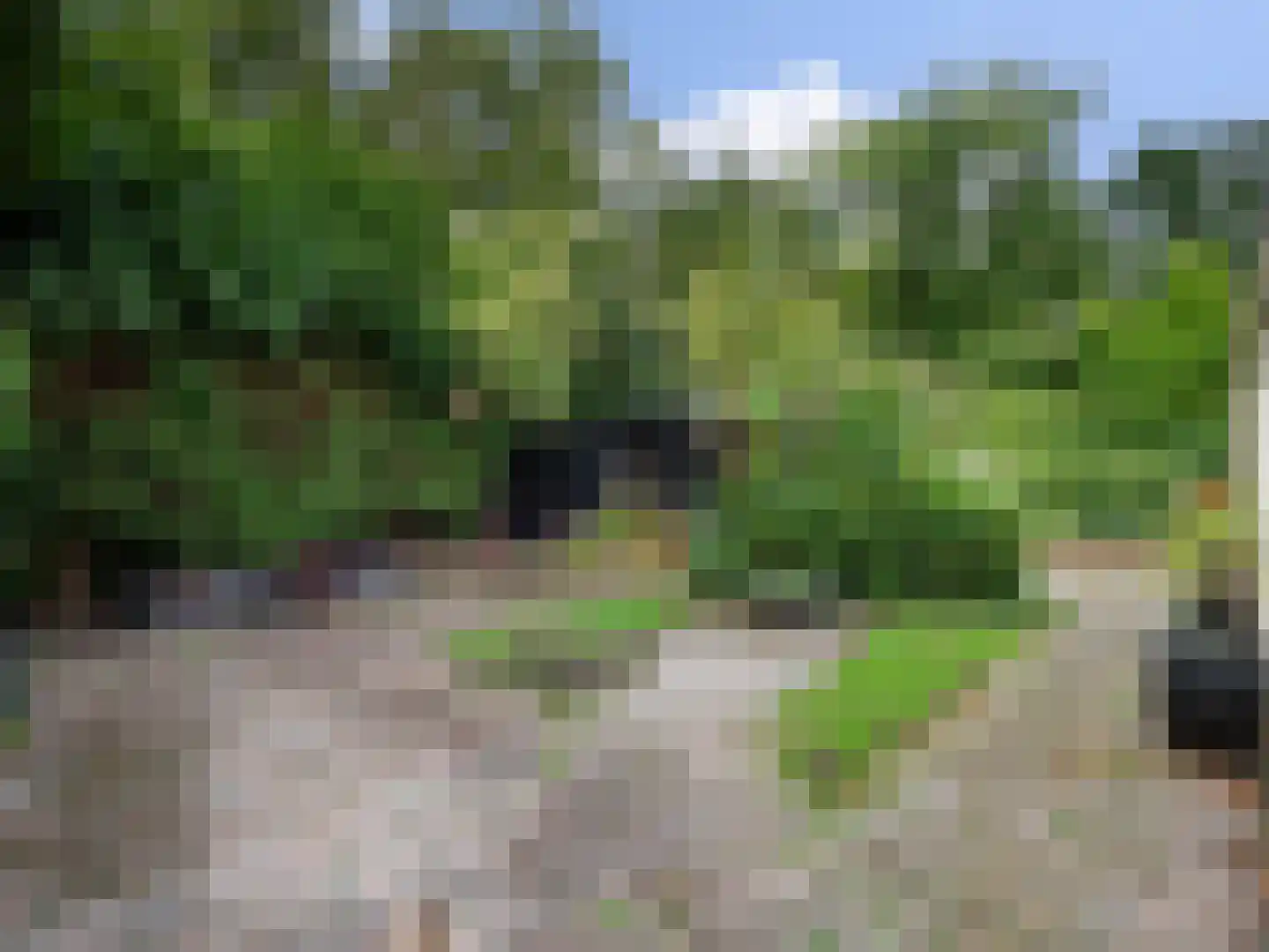 Weezenhof 7222 Nijmegen thumbnail 25
