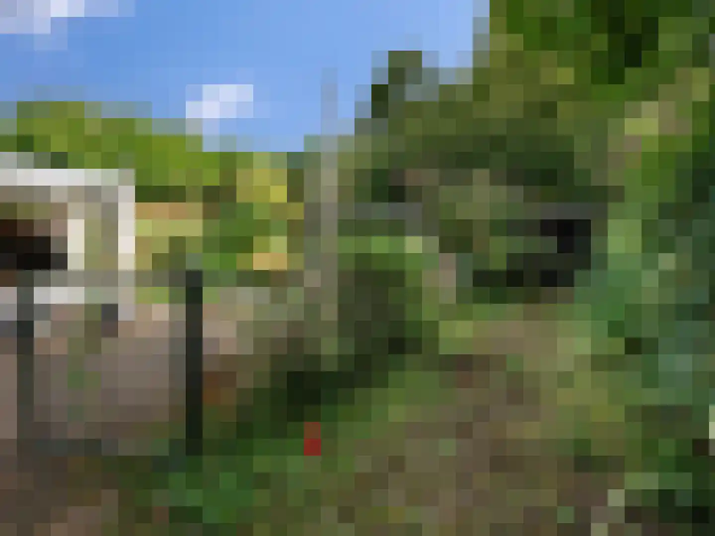 Weezenhof 7222 Nijmegen thumbnail 27