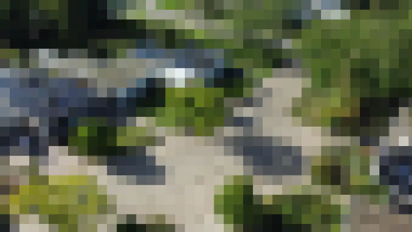 Weezenhof 7222 Nijmegen thumbnail 33