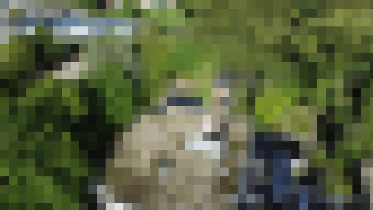 Weezenhof 7222 Nijmegen thumbnail 34