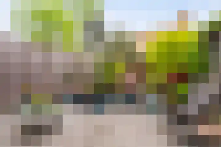 Weezenhof 8025 Nijmegen thumbnail 26