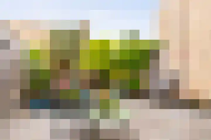 Weezenhof 8025 Nijmegen thumbnail 27
