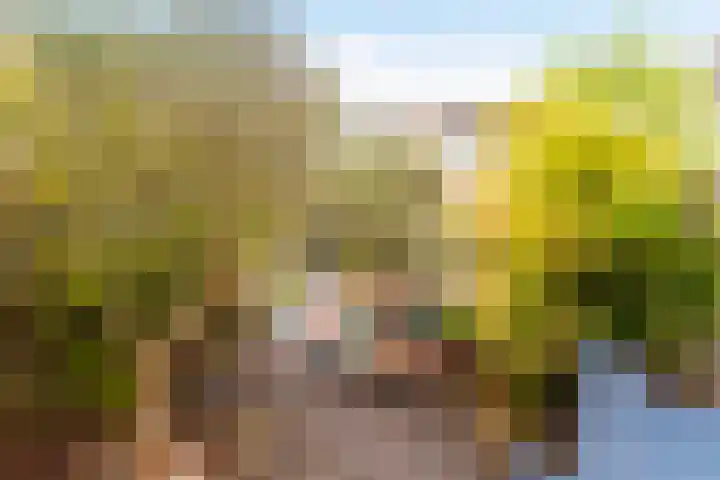 Weezenhof 8025 Nijmegen thumbnail 28