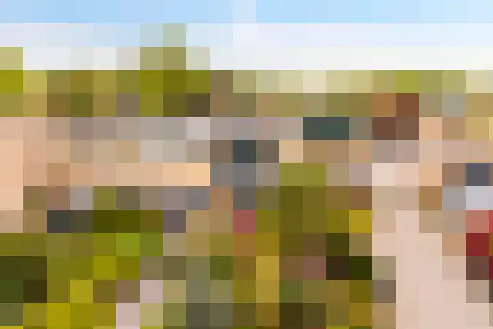 Weezenhof 8025 Nijmegen thumbnail 33