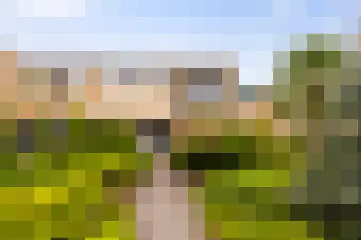 Weezenhof 8025 Nijmegen thumbnail 34