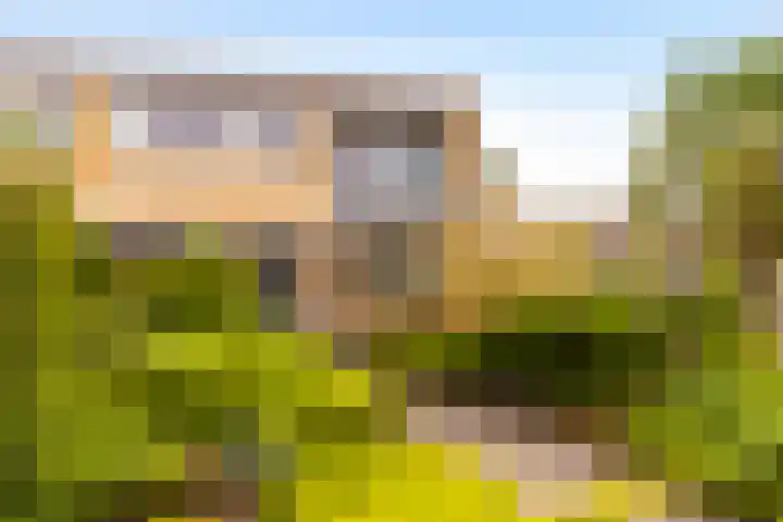 Weezenhof 8025 Nijmegen thumbnail 38