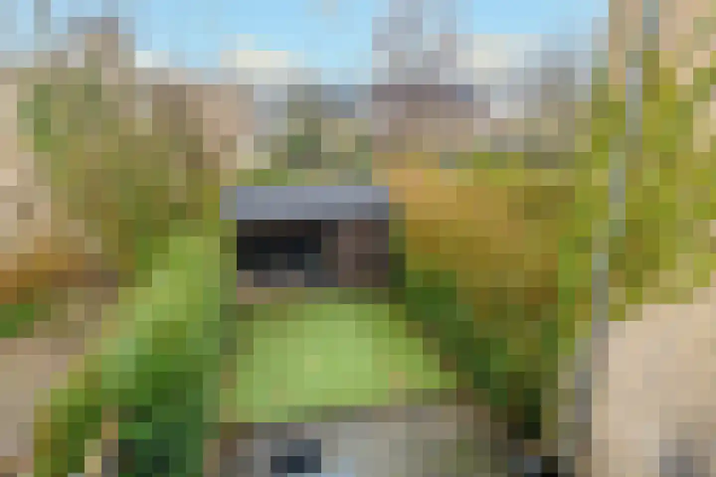 Weezenhof 8033 Nijmegen thumbnail 5