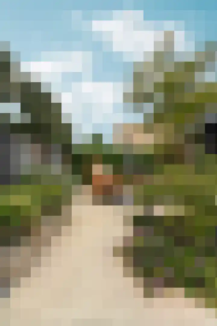 Weezenhof 8218 Nijmegen thumbnail 71