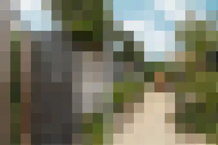 Weezenhof 8218 Nijmegen thumbnail 72