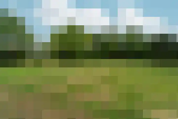 Weezenhof 8218 Nijmegen thumbnail 74